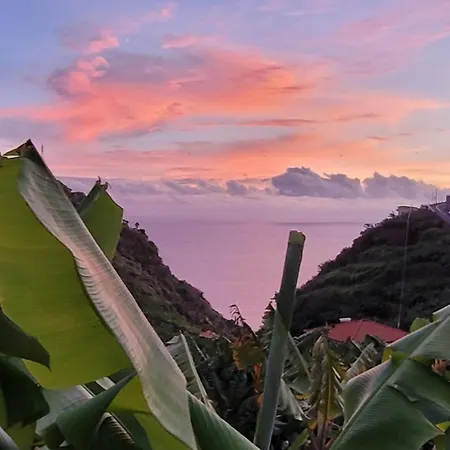 Banana Garden *